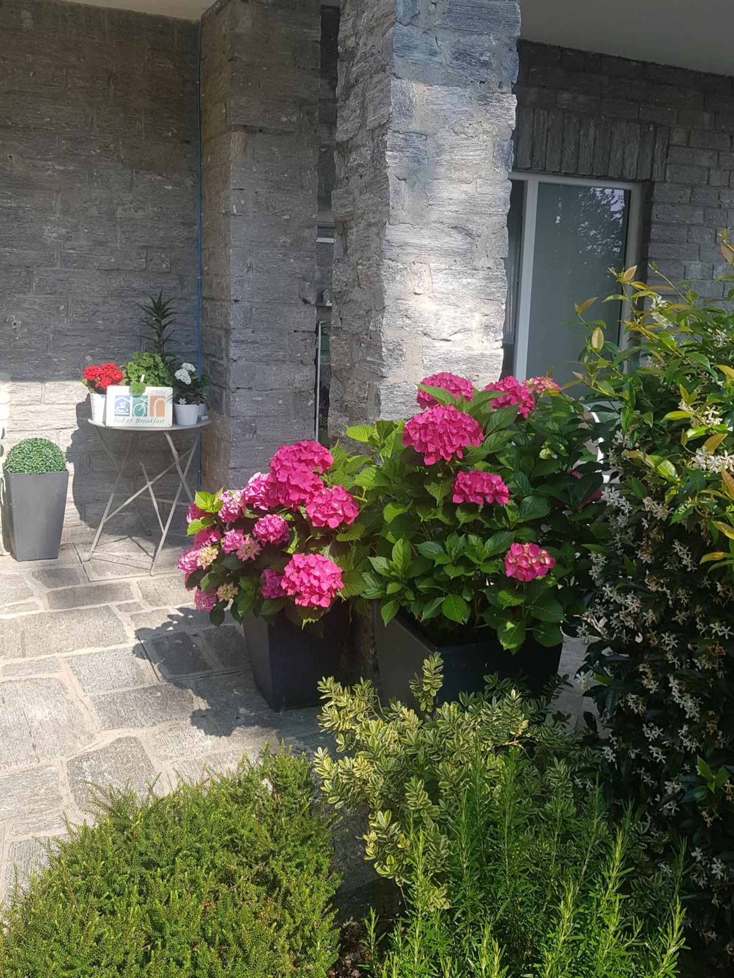 Ori Villa Oriana Baveno Exterior photo